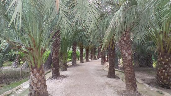 Museo del Palmeral