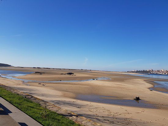 Nature Reserve Douro Estuary Site