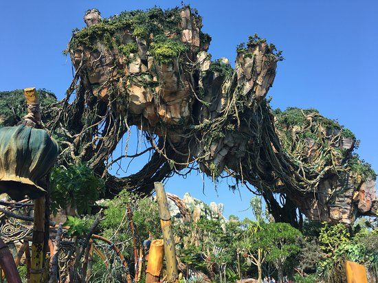 Avatar Flight of Passage