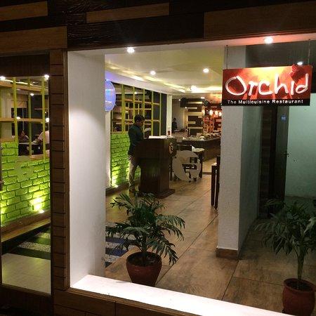 Orchid