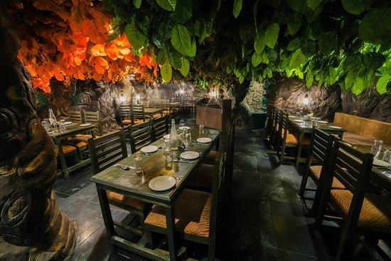 Jaipur Jungle
