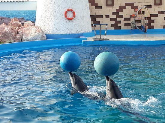 Agadir Dolphin World
