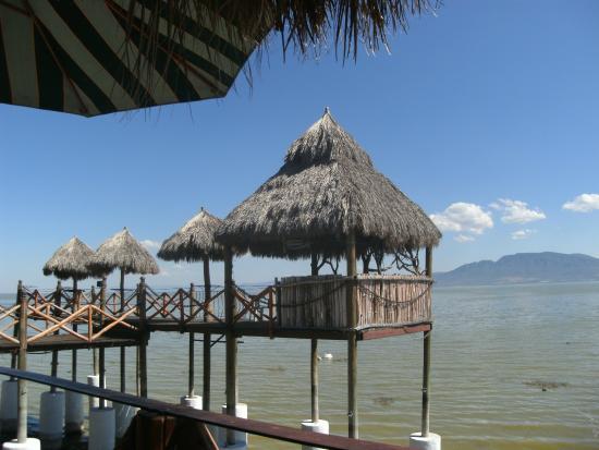 La Iguana en la Piedra