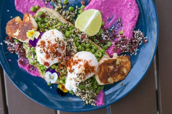 Arrows & Sparrows Café and More