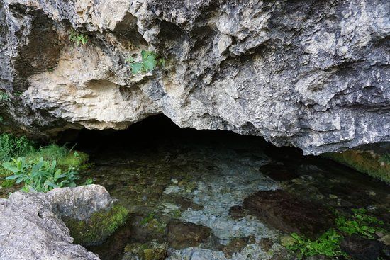 Nacimiento De La Toba