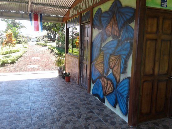 Mariposario Alas del Destino