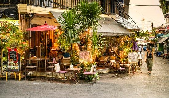 Madame Musur Samsen 2