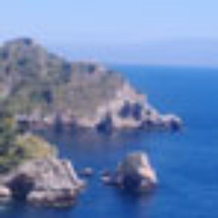 Royal Cafe Vegetarian Restaurant