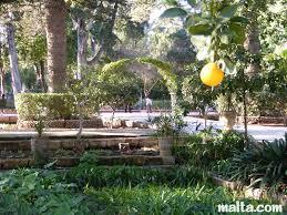 San Anton Gardens