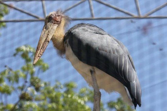 Huai Sai Wildlife Breeding Center