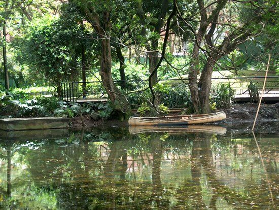 Jardín Botánico Joaquín Antonio Uribe