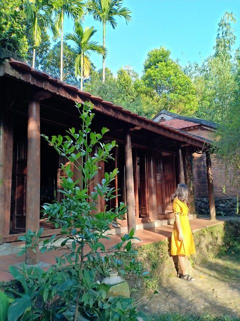 Dong Dinh Art Museum