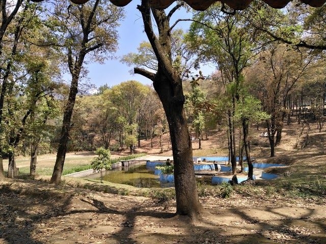 Florencia Ecological Park