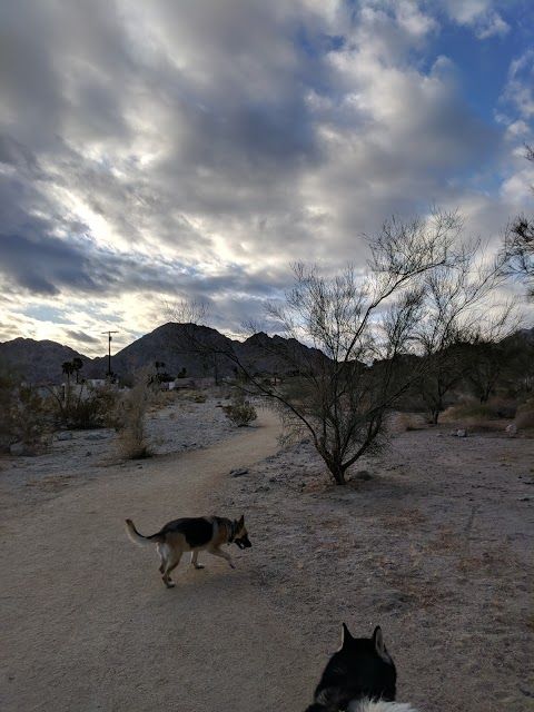 Fred Wolff Nature Preserve
