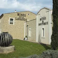 The Lavender Museum