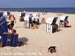 Hundestrand Heringsdorf