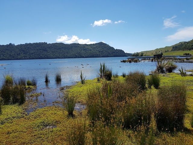 Lake Okareka Reserve and Walkway