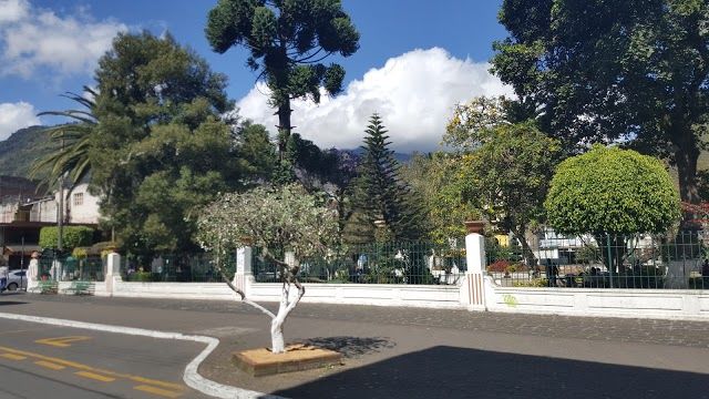 Parque Palomino Flores