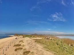 Naturschutzgebiet Riedensee