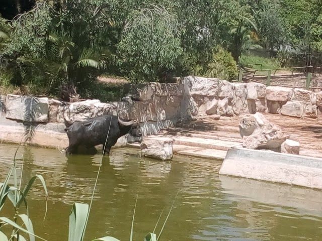 Parc zoologique de Tunis
