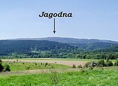 Jagodna