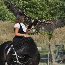 Parc Animalier Les Aigles du Verdon
