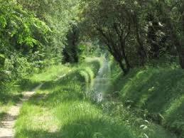 Alpilles Natural Regional Park