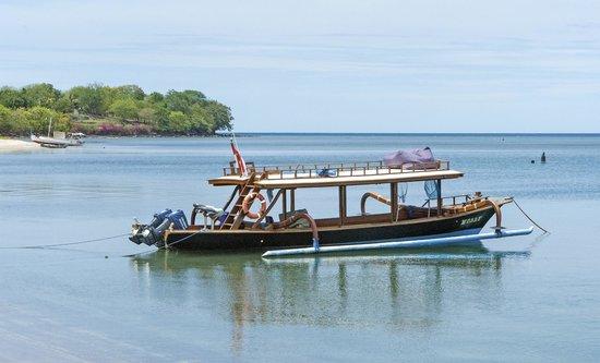 Molly's Bar and Grill