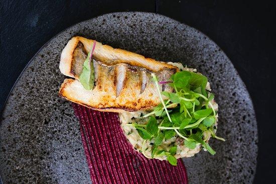 Morska fish & wine restaurant