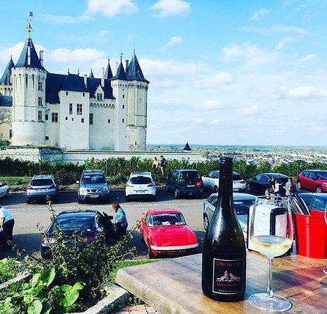 Le Terrier du Chateau