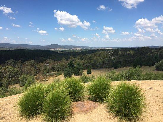 The Wine Collective Regional Cellar Door & Restaurant