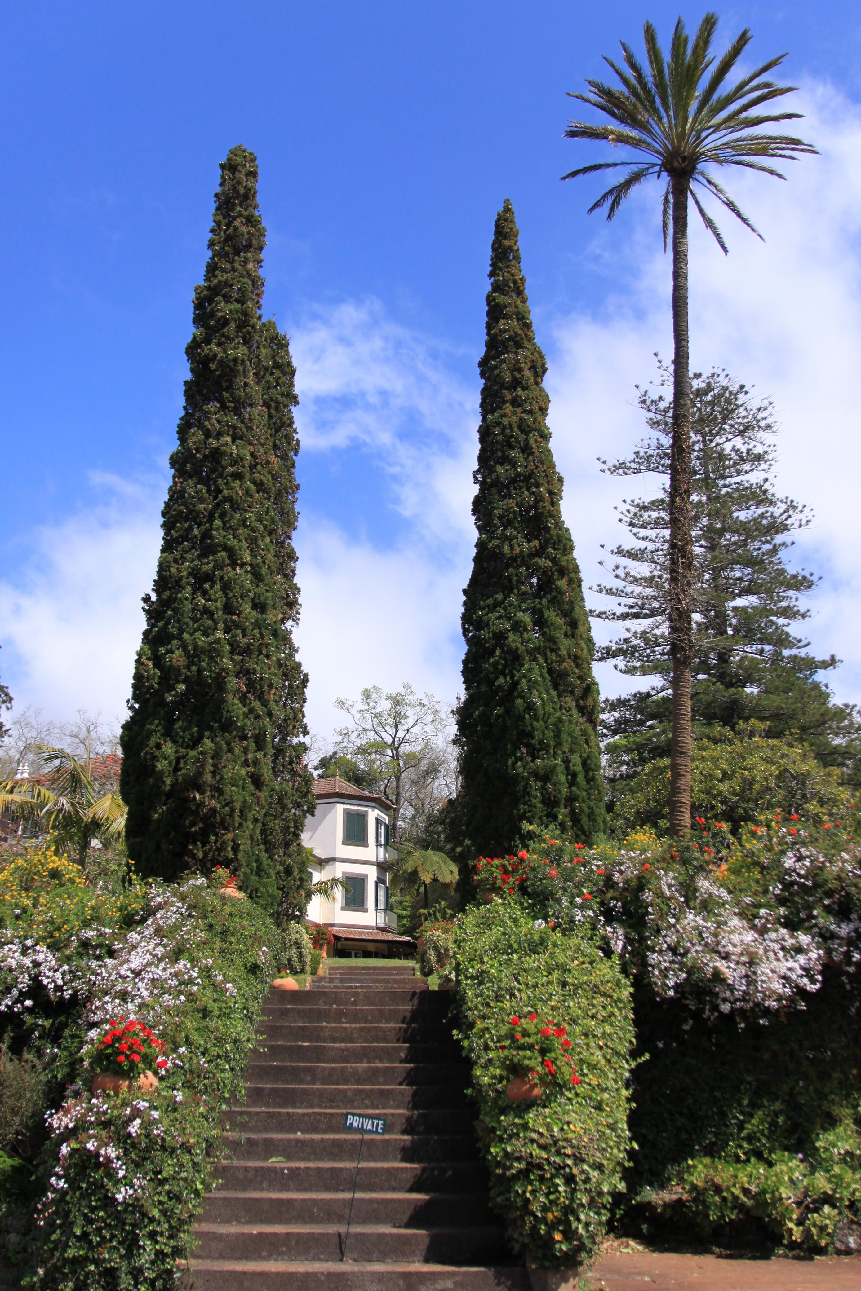 Parc/jardin botanique Quinta do Palheiro Ferreiro