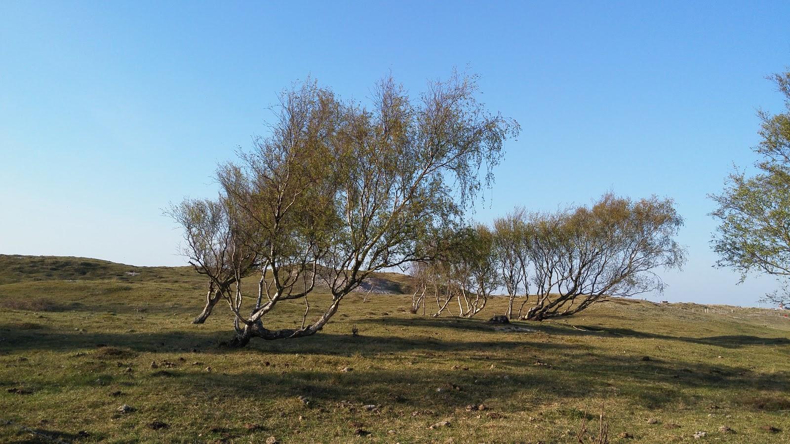 Weißenhäuser Brök