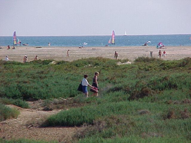 Spiaggia di Matorral