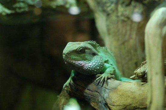 Vivarium de Lausanne