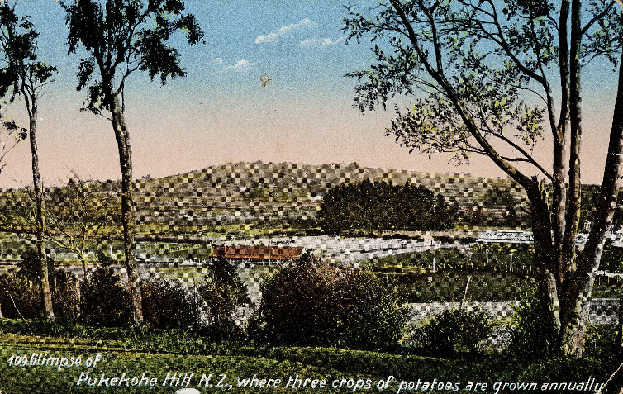 Pukekohe Hill