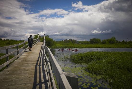 Marais de la Riviere aux Cerises