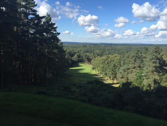 Old Thorns Golf Course