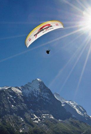 Paragliding Grindelwald