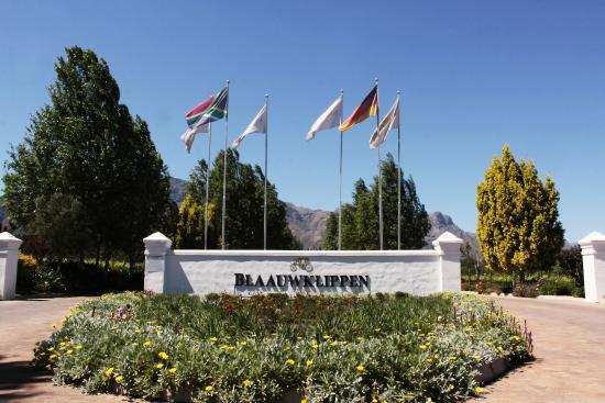 Blaauwklippen Wine Estate