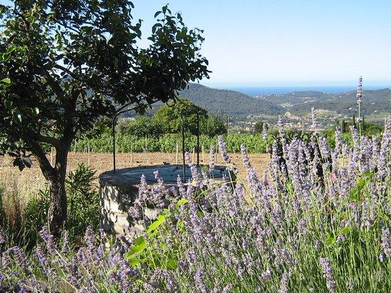La Maison des Vins de Bandol