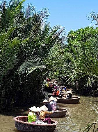 Bay Mau Coconut Forest Tour