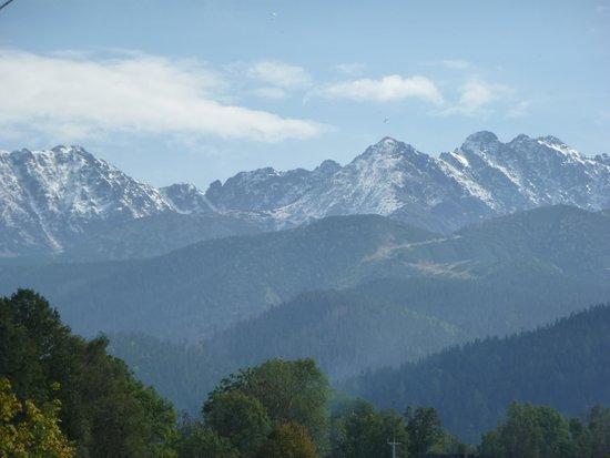 Zakopane Natalia - Kuligi