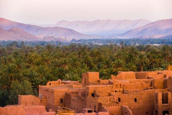 Tanzar Tours & Experiences