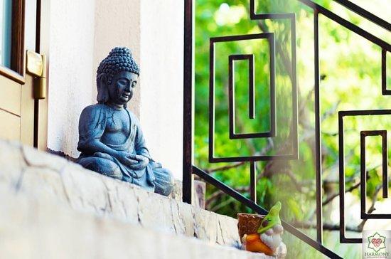 Harmony Wellness Center