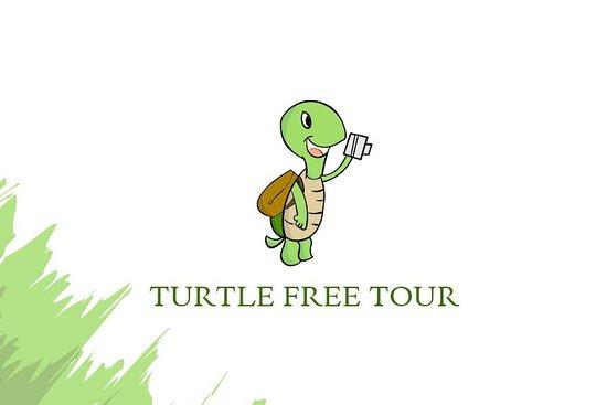 Turtle Free Tour