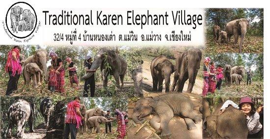 Traditional Karen Elephant Village