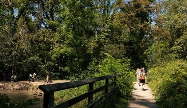 Forêt de la Robertsau