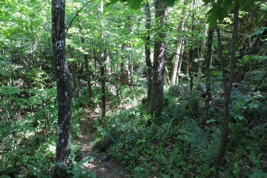 Marble Rock Conservation Area