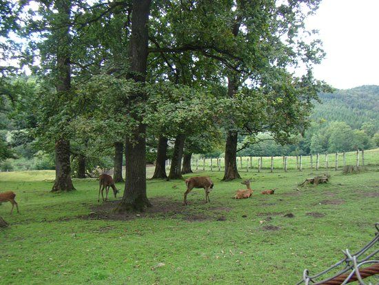 Vanatori Neamt Nature Park